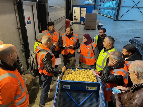 Dutch seed potatoes for the Palestinian Territories