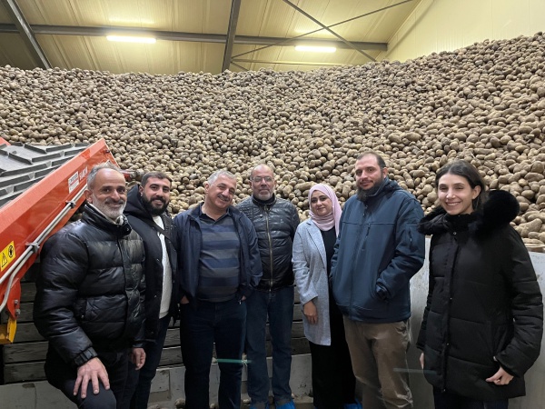 Dutch seed potatoes for the Palestinian Territories